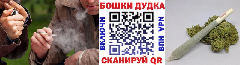 Бошки Шишки гибрид  Сретенск 